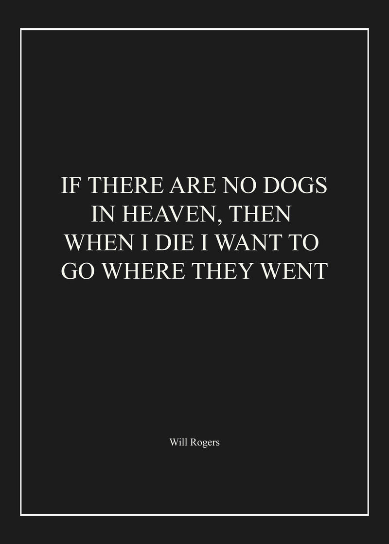 IF THERE ARE NO DOGS
